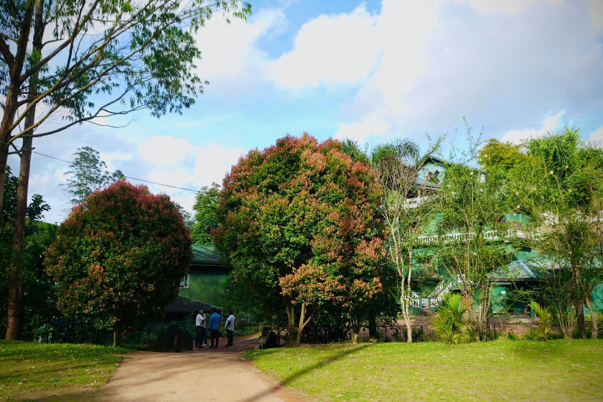 KV Greenhills 6